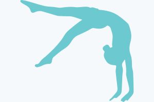 gymnastics interest icon